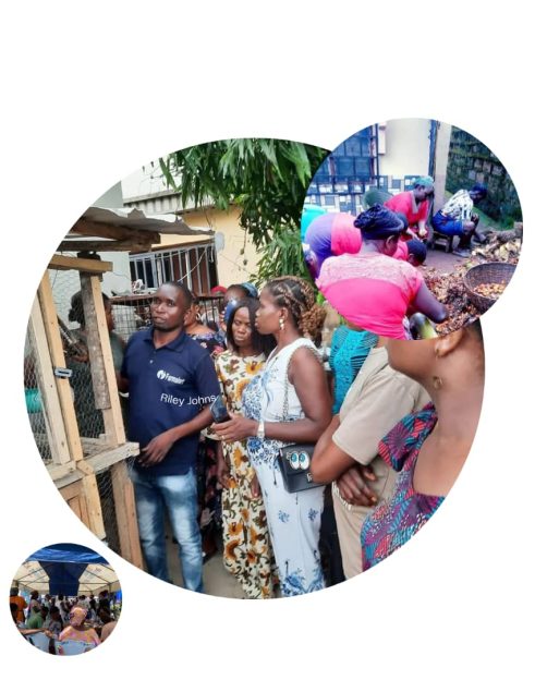 WhatsApp Image 2025-06-11 at 00.48.17_fcf9dbea